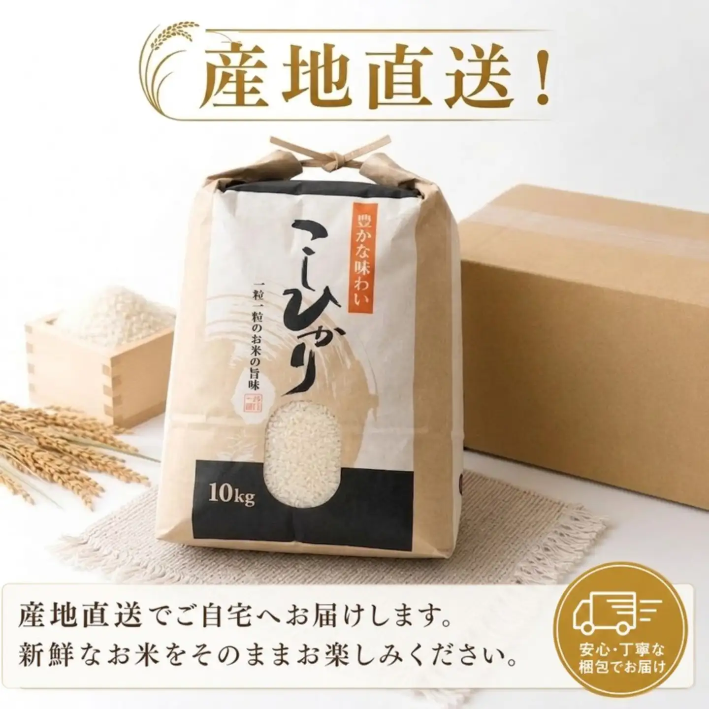 こしひかり 白米 新米 10kg  2026年産［0941-4］