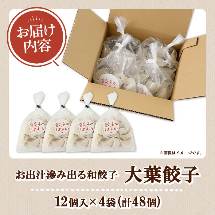 大葉餃子(12個入×4袋・計48個) 餃子 生餃子 ギョウザ ぎょうざ ギョーザ セット 詰め合わせ おかず お惣菜 冷凍 和風 水餃子 大葉 手作り 【餃子のはま田】akn096-02