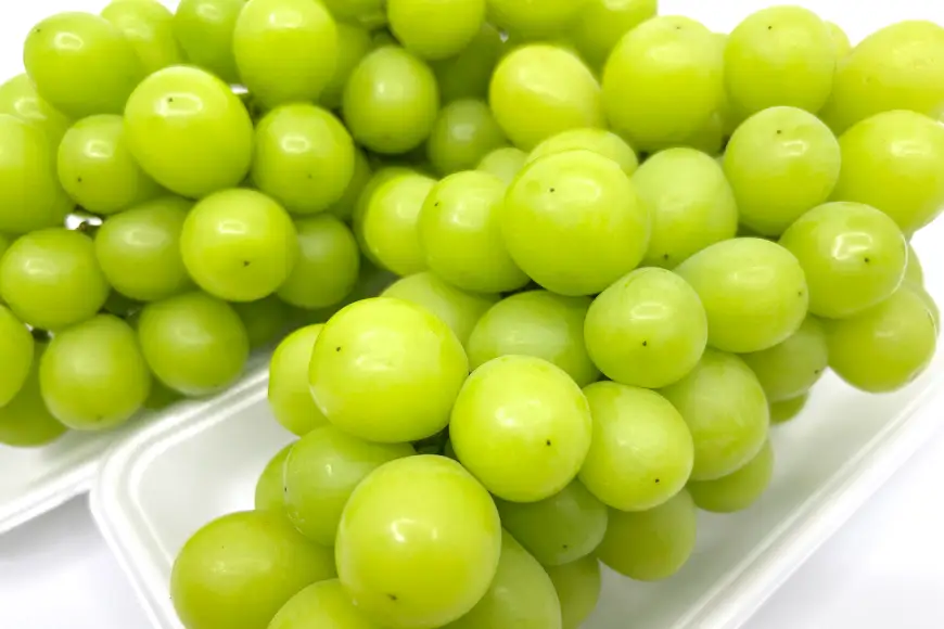 シャインマスカット 大粒 種なし 約800g 2p 計1.6kg