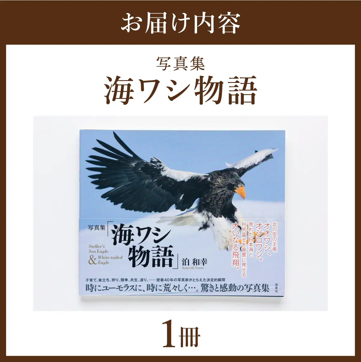 【写真集】海ワシ物語【泊和幸　野生塾】