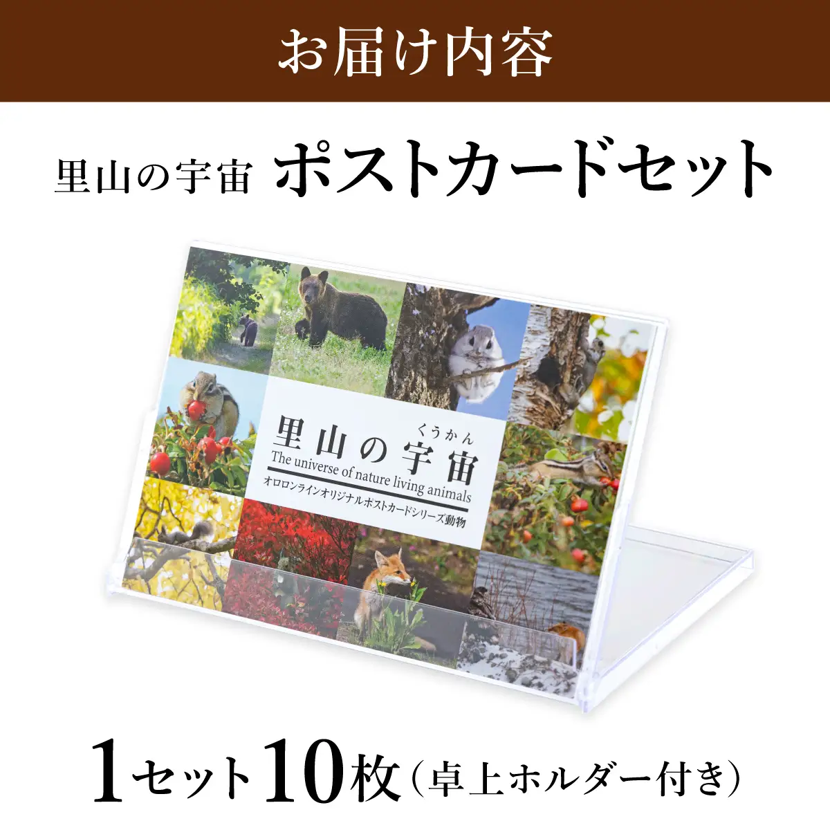 【野生塾　泊和幸】ポストカードセット　里山の宇宙（動物）