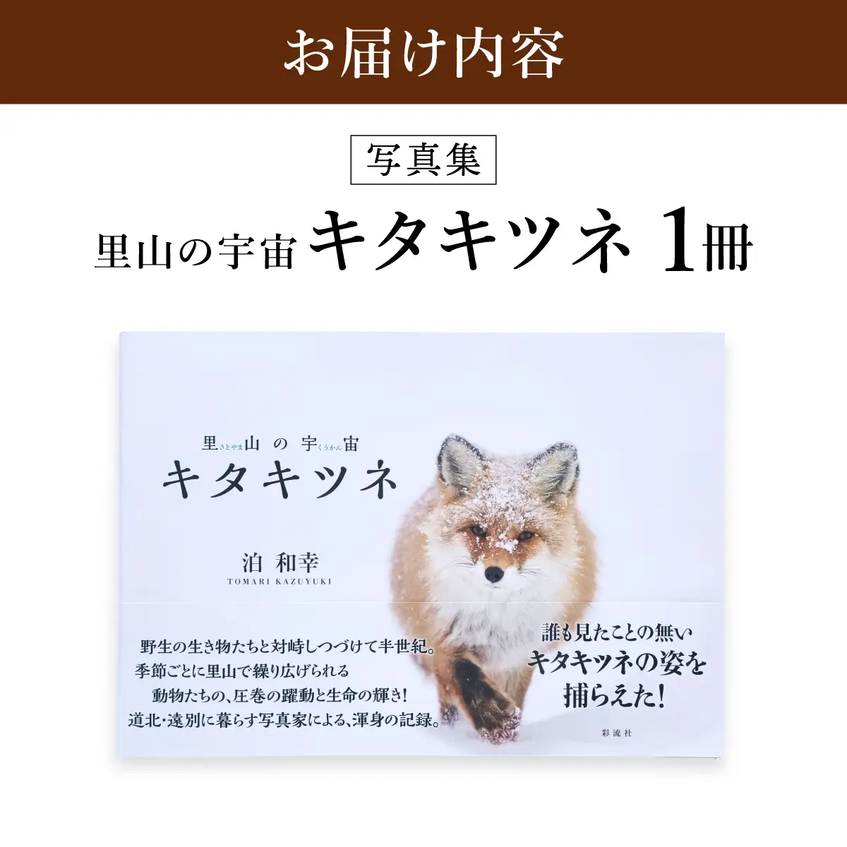 【野生塾】里山の宇宙（さとやまのくうかん）　キタキツネ【泊和幸　野生塾】