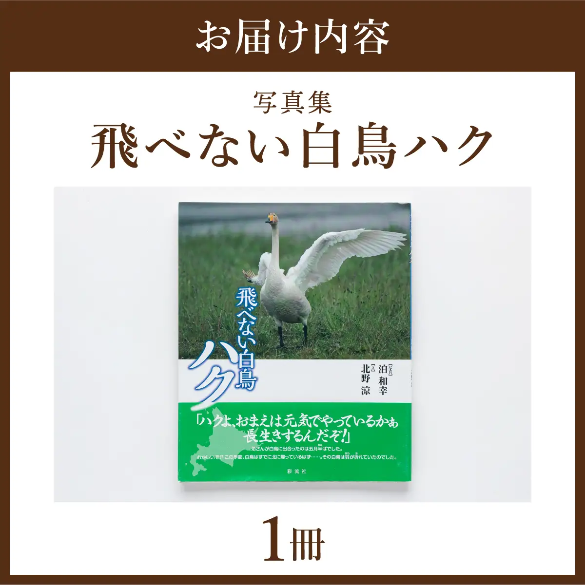【写真集】飛べない白鳥ハク　彩流社　【野生塾　泊和幸】