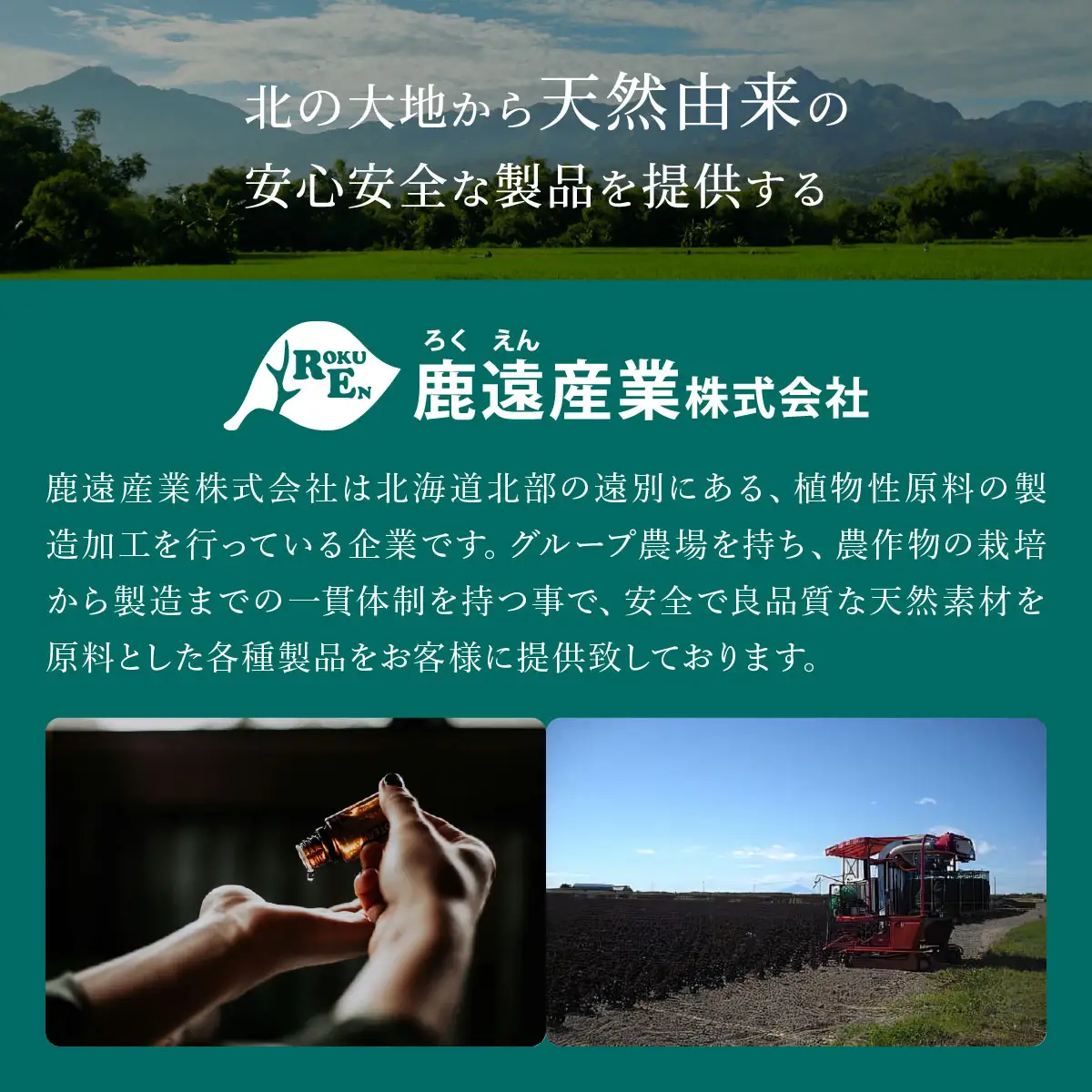 クマイザサ使用　笹青汁（１缶126ｇ）　健康食品　疲労回復　食欲不振　抹茶　ヘルシー　青汁　笹　北海道　遠別町　熊笹　隈笹　クマザサ　クマイ笹　九枚笹