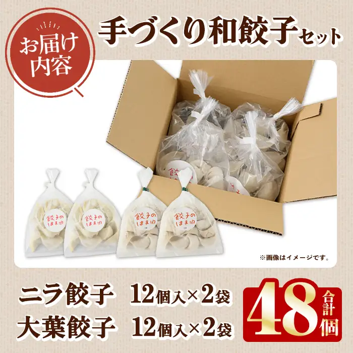 手づくり和餃子セット(ニラ餃子12個入×2袋+大葉餃子12個入×2袋・合計48個) 餃子 生餃子 ギョウザ ぎょうざ ギョーザ セット 詰め合わせ おかず お惣菜 冷凍 和風 水餃子 にら ニラ 大葉 手作り 食べ比べ 【餃子のはま田】akn096-03