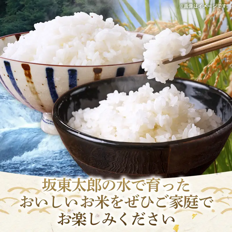 新米 先行受付 令和8年産 『こしひかり』『ひとめぼれ』 10kg (各5kg×1袋ずつ) 米 お米 白米 コメ こめ 食べ比べセット コシヒカリ ひとめぼれ 先行予約 2026年 人気 家計応援 単一米 茨城県 五霞町