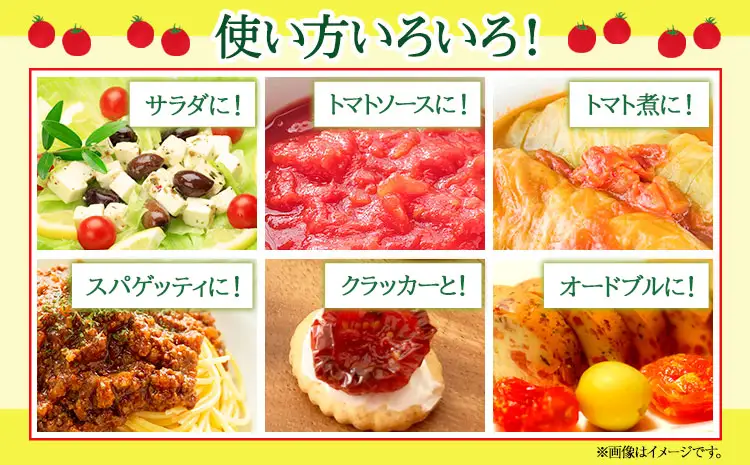 ドライミニトマト セット 60g トマト ミニトマト 野菜 GTOファーム 熊本県 南阿蘇村《7月上旬-10月末頃出荷》