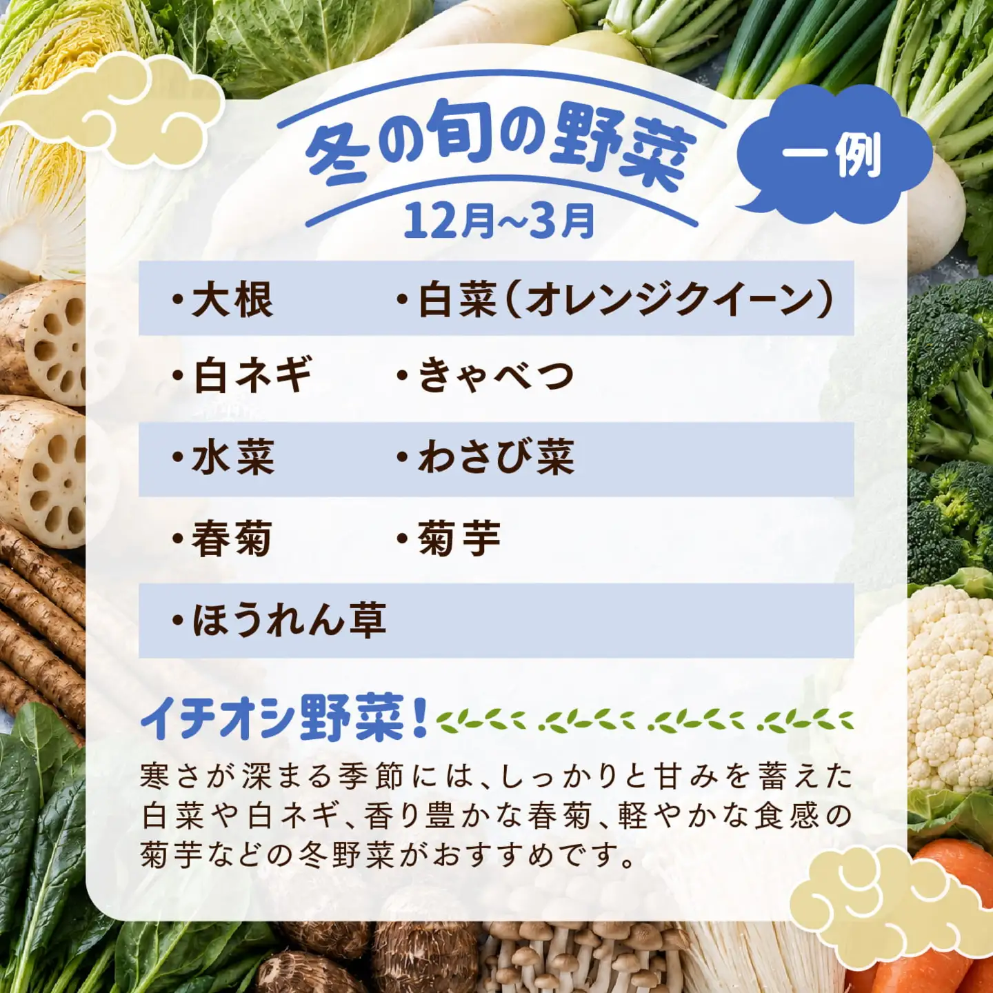 【定期便6回】久万高原 天空の旬野菜便2kg【面河特産品開発センター厳選】｜野菜詰め合わせ 5〜6品目 新鮮野菜 定期便 愛媛県産 産地直送