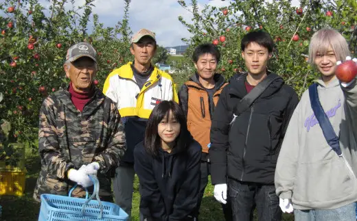 【先行予約】 数量限定 フレミッシュビューティー 西洋梨 2kg 梨