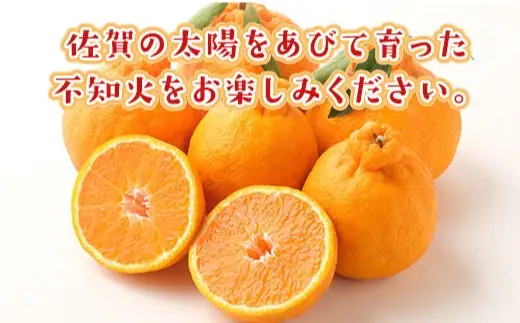 不知火 約3kg 不知火 フルーツ 果物 くだもの 柑橘 デコポン でこぽん 甘い あまい 新鮮 デザート 佐賀県 太良町 NB47 【2027年2月下旬～4月上旬発送予定】