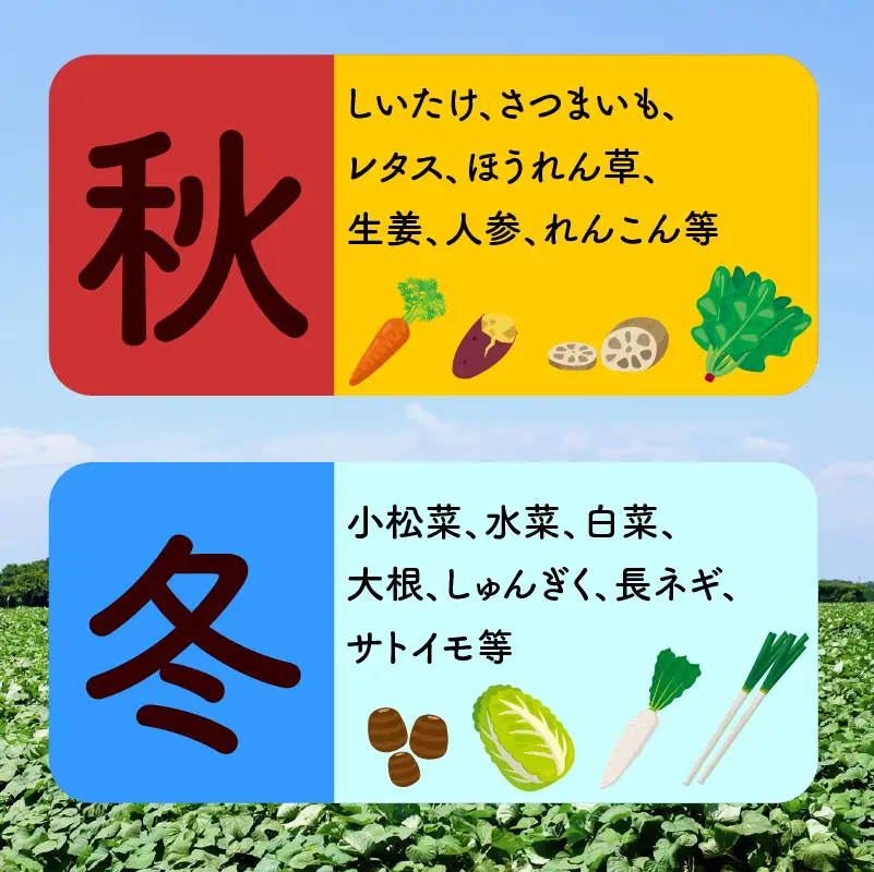 宮若産 旬の野菜詰め合わせ詰め合わせ 6〜8種セット [Ｍ1018] 季節 野菜 果物 詰め合わせ 九州 福岡 宮若市 ふるさと納税 おすすめ