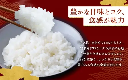 【新米受付・令和8年産米】新潟県村上市岩船産 新之助20kg（5kg×4袋）1099013N
