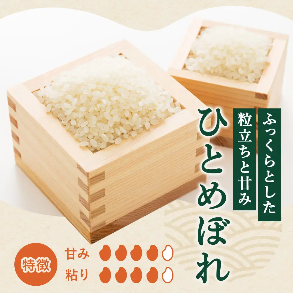 《2週間毎お届け》【定期便2回】ひとめぼれ【白米】10kg（5kg×2袋）令和7年産 特別栽培米  秋田県産