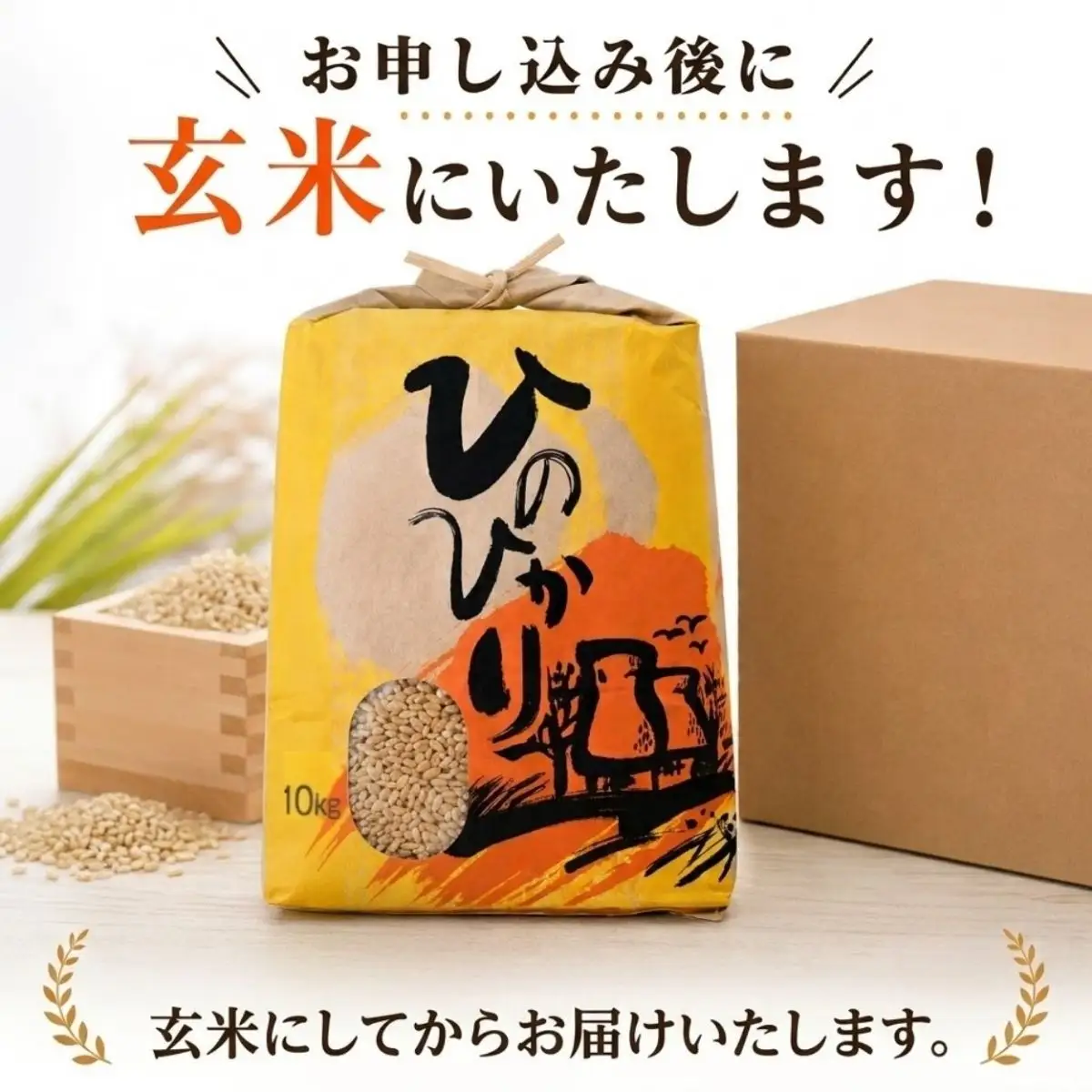 ひのひかり 玄米 10kg 2025年産［1120-5］