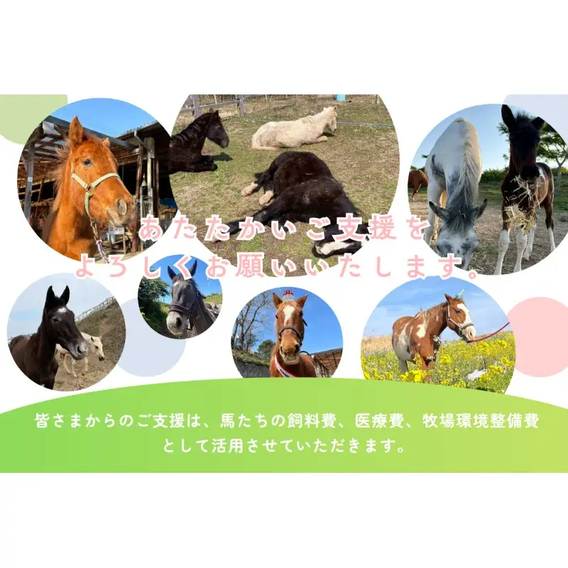 【返礼品なし】引退馬・仔馬の飼育支援 30,000円【カナディアンキャンプ乗馬クラブ】_HA2057 馬 仔馬 飼育支援 牧場 福岡県宗像市 宗像市 福岡 宗像