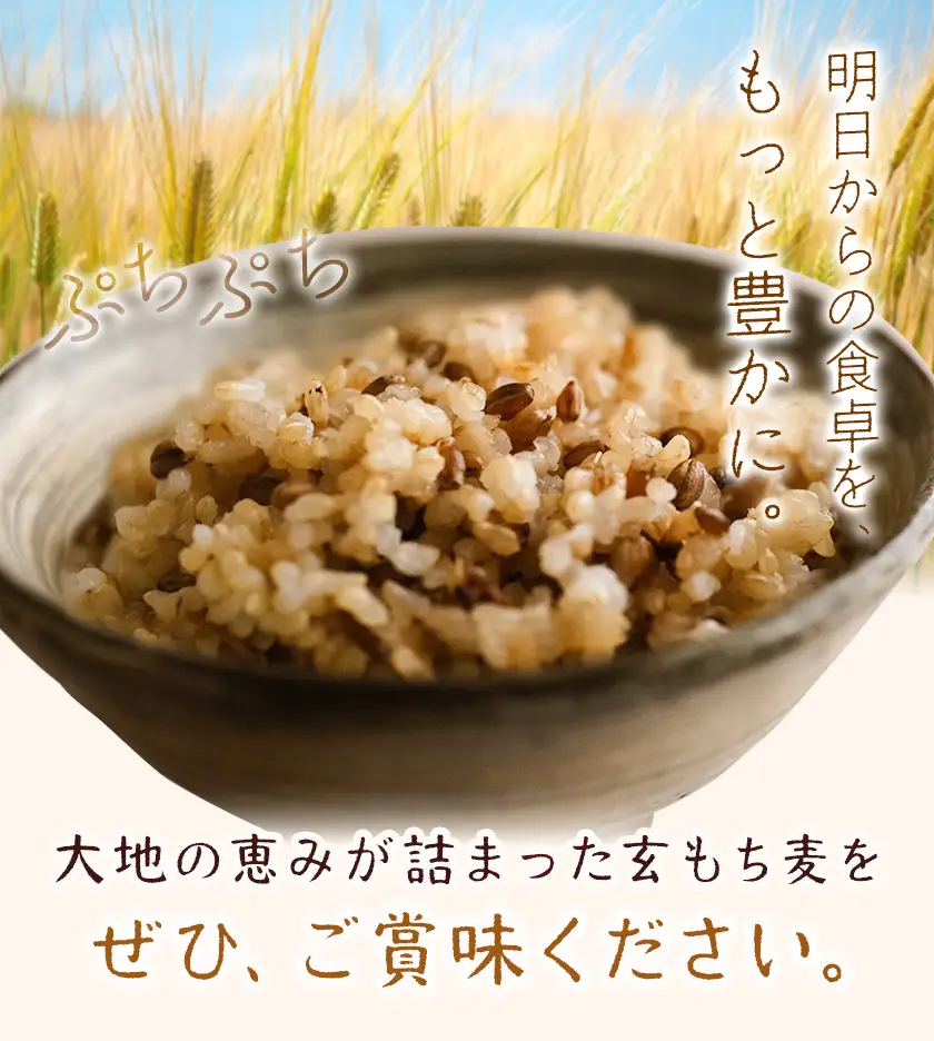 もち麦 玄もち麦 1kg 自然野菜のら