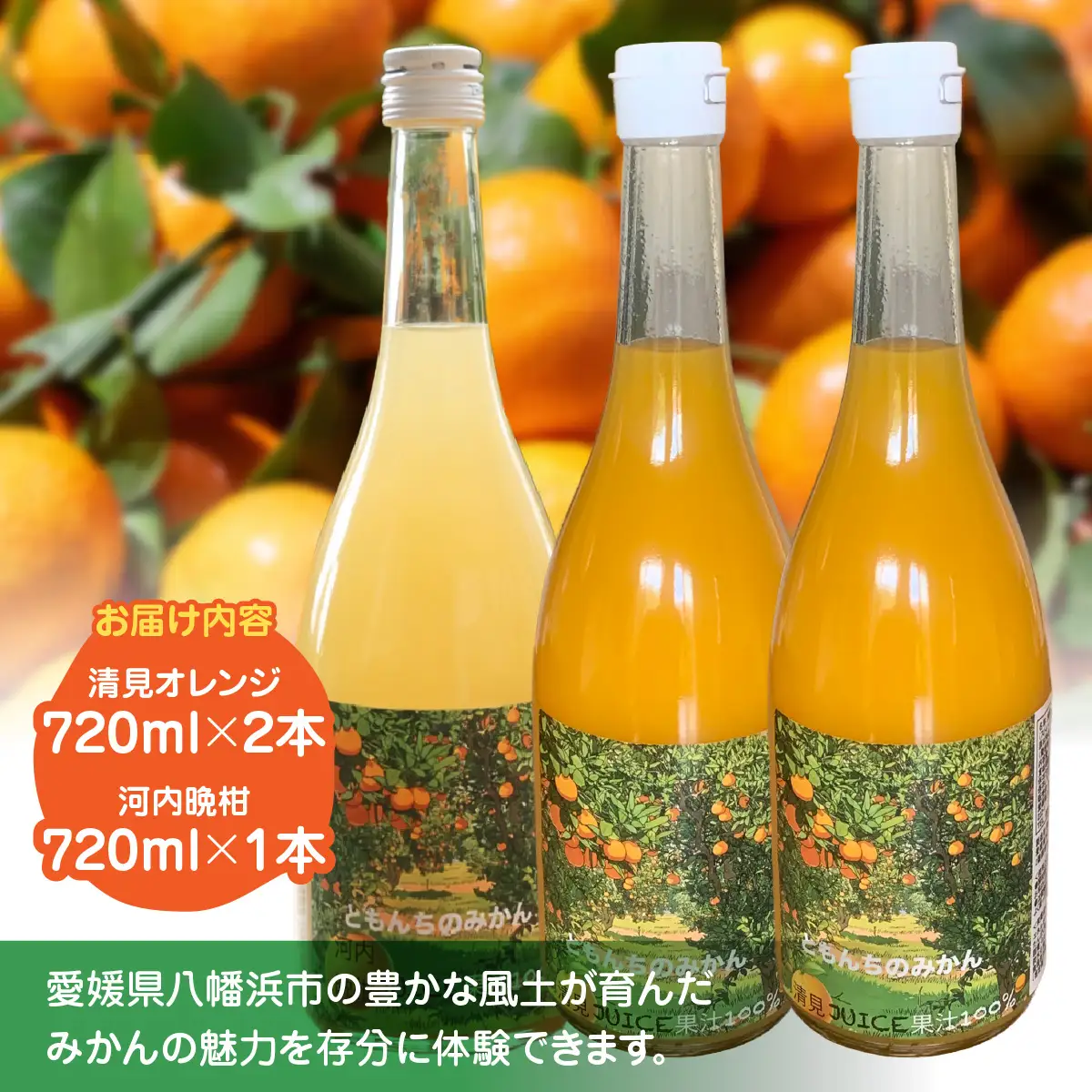 飲み比べセット清見オレンジ100%ジュース720ml×2河内晩柑100%ジュース720ml×1【91-5】 YWTB005