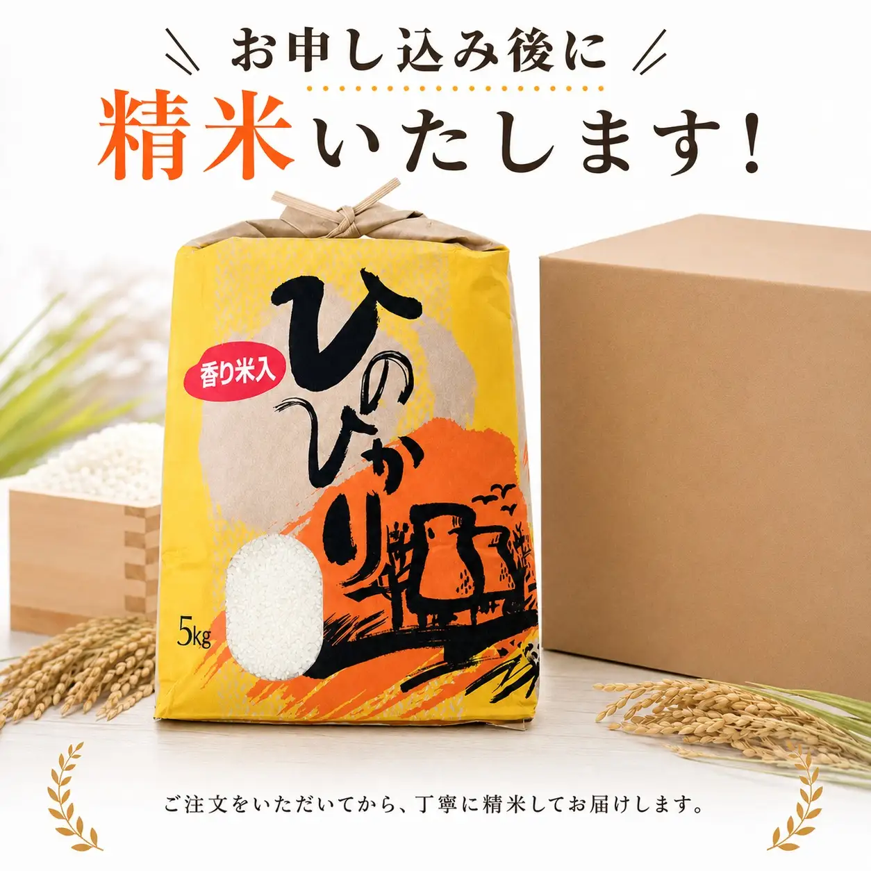 ひのひかり 白米 香米入り 5kg 2025年産［1122-4］