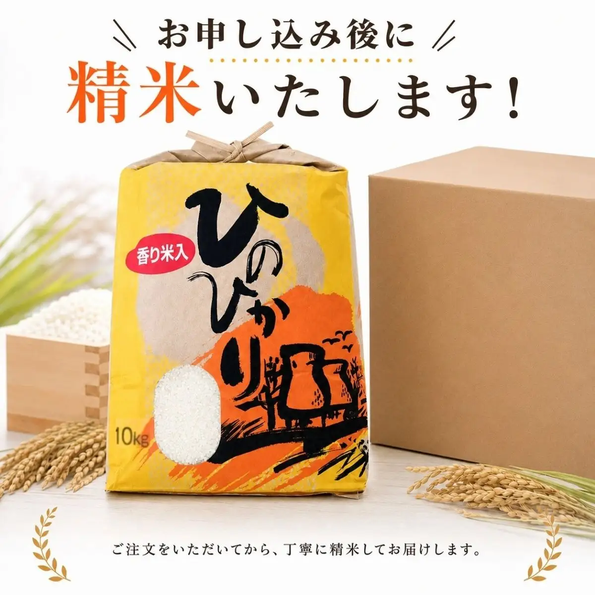 ひのひかり 白米 香米入り 10kg 2025年産［1122-5］
