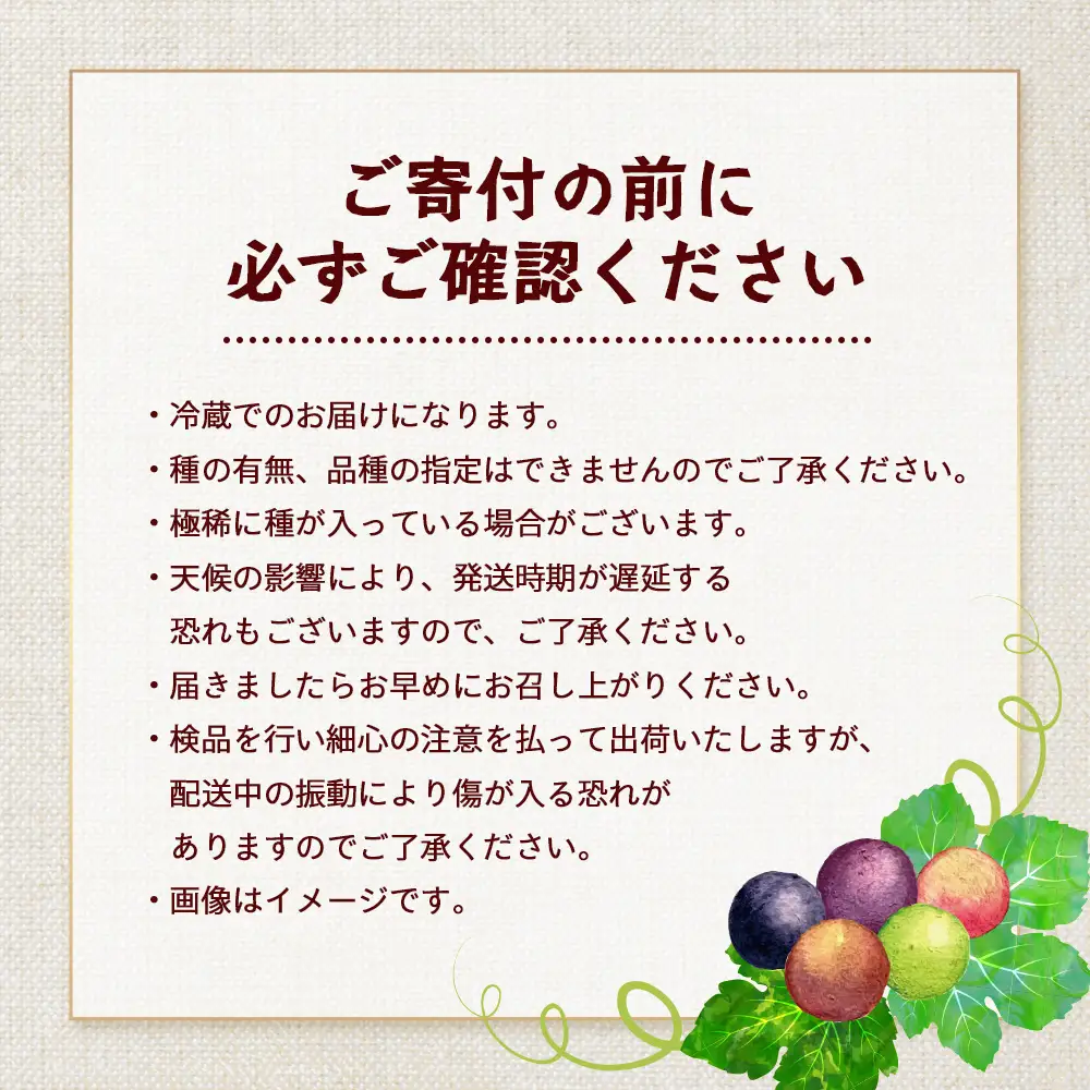 【期間限定!数量限定!】2026年7月下旬発送 旬のブドウ味くらべ約3kg (6～7房) TE710｜産地直送 旬 ブドウ 葡萄 ぶどう フルーツ 果物 くだもの 果実 食べ比べ 鹿児島県 南大隅町 有限会社ティエラ　