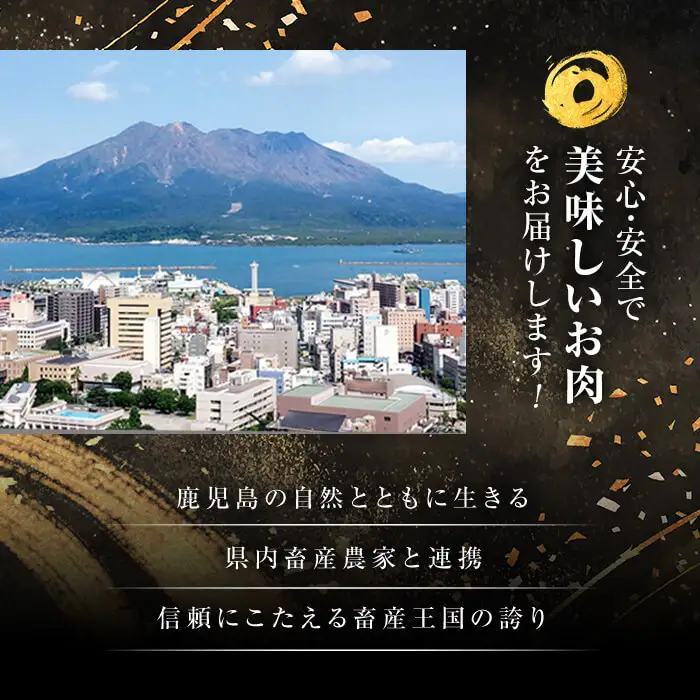 和牛日本一！＜鹿児島黒牛＞サーロインステーキセット 計600g(1枚200g/3枚) 肉 牛肉 ブランド牛 鹿児島黒牛 ステーキ サーロイン 国産 九州産 鹿児島県産 BBQ 小分け c0-149