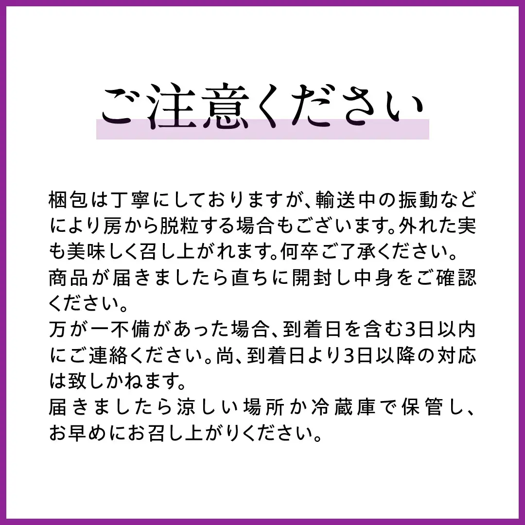 シャインマスカットと巨峰（種なし）約1.5kg（計2～3房）ご家庭用 (桜川市・石岡市共通返礼品) [FB018sa]