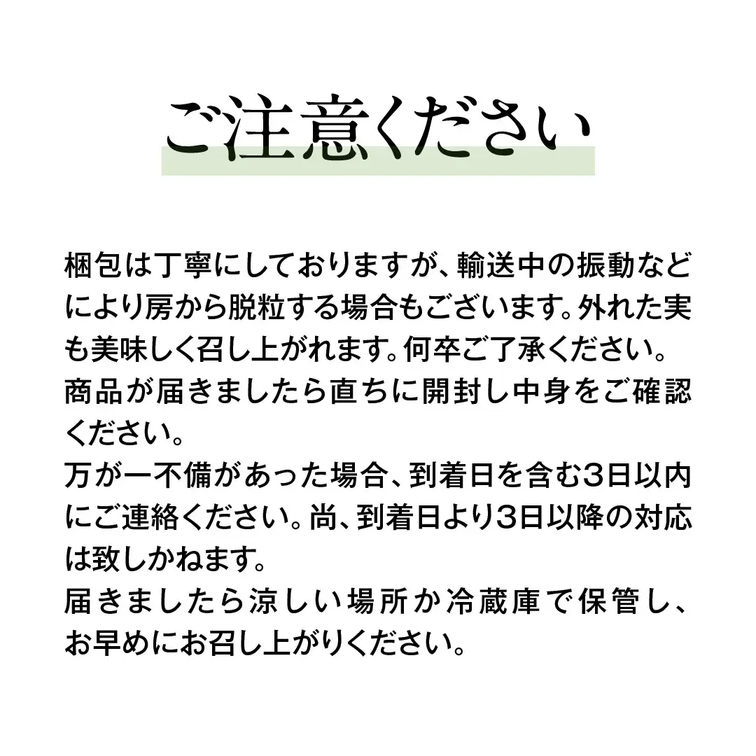 シャインマスカットと伊豆錦（種なし）約1.5kg（計2～3房）ご家庭用 (桜川市・石岡市共通返礼品) [FB020sa]