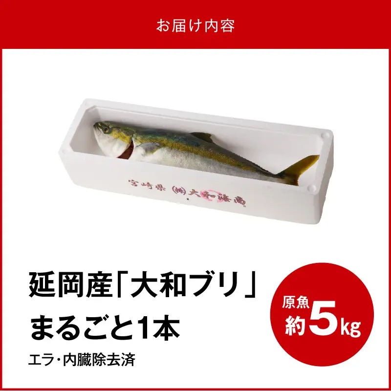 まるごと一本！大和ブリ 原魚約5kg N072-YC816