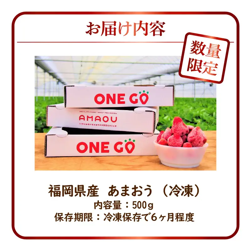 【数量限定】福岡県産あまおう（冷凍500g）特別栽培 〔Fi203-01〕