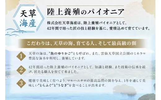 【 天草旬の味覚定期便 2回 （ 2人前用 ） 】 天草とらふぐてっさてっちり満腹セット＋天草藍うなぎ2～3尾セット ／ 刺身 魚 魚類 お魚 旬 フグ ふぐ とらふぐ うなぎ ウナギ 鰻 上天草 定期配送 定期 定期便 贅沢 旨味 蒲焼 蒲焼き