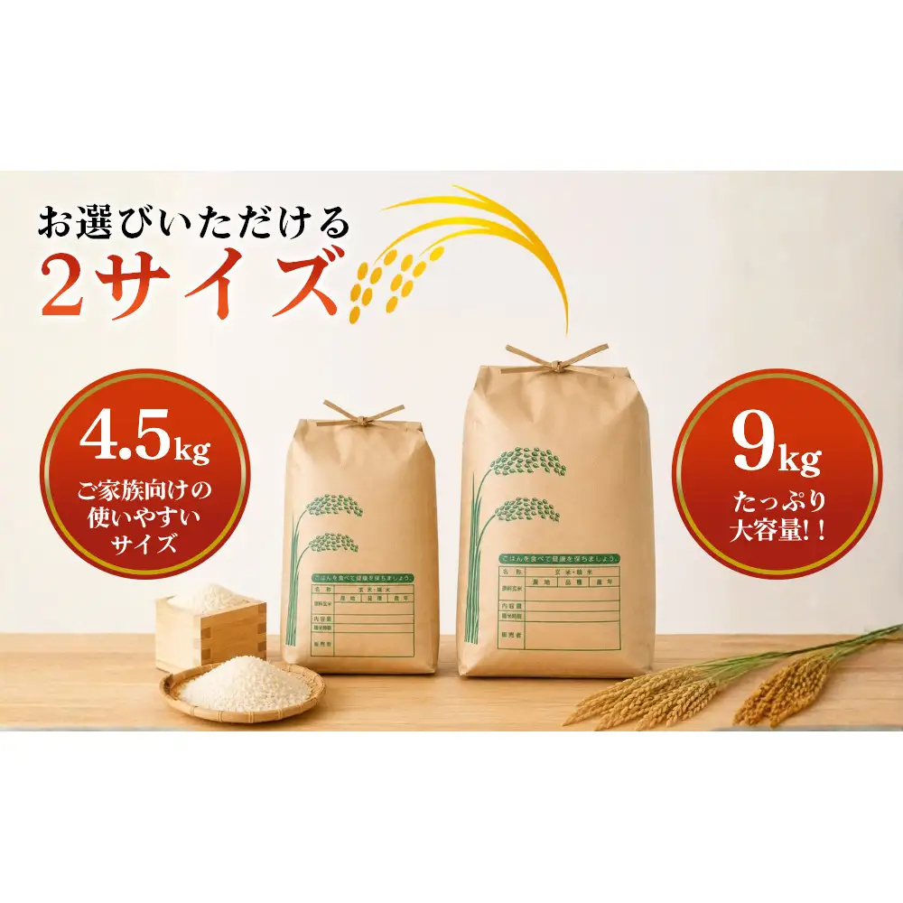 【先行予約】R8年度産 新米こしひかり白米4.5kg