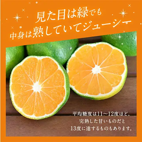 JAとぴあ浜松 極早生 ゆらみかん 約2kg (約20～30個) とぴあ みかん ゆら早生みかん ごくわせ 美味しい 静岡 浜松市