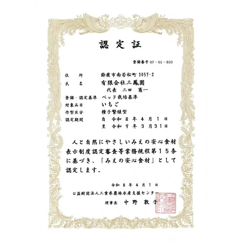 【先行予約！】2027年2月以降順次発送　よつぼし いちご　200g×4