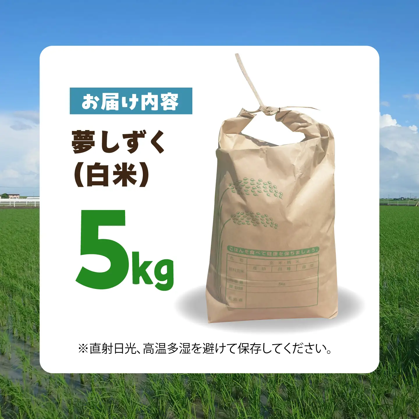 【先行予約】 令和8年産 夢しずく 精米 5kg 【佐賀県江北町産】 米 白米[HAF033]