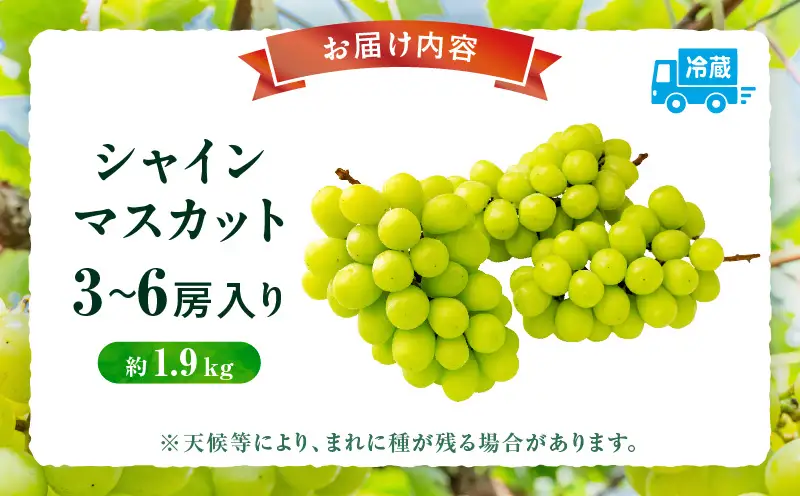 【8月31日（夏休み）までの期間限定価格!!】シャインマスカット　約1.9kg | シャインマスカット マスカット ぶどう ブドウ 葡萄 果物 フルーツ 期間限定 新鮮 くだもの 国産 ギフト お裾分け 旬 人気 種なし 皮ごと食べられる ジューシー 糖度が高い 先行受付 先行予約 季節限定 おすすめ 旬の果物 香川 香川県 三木町 |_ mk006-127