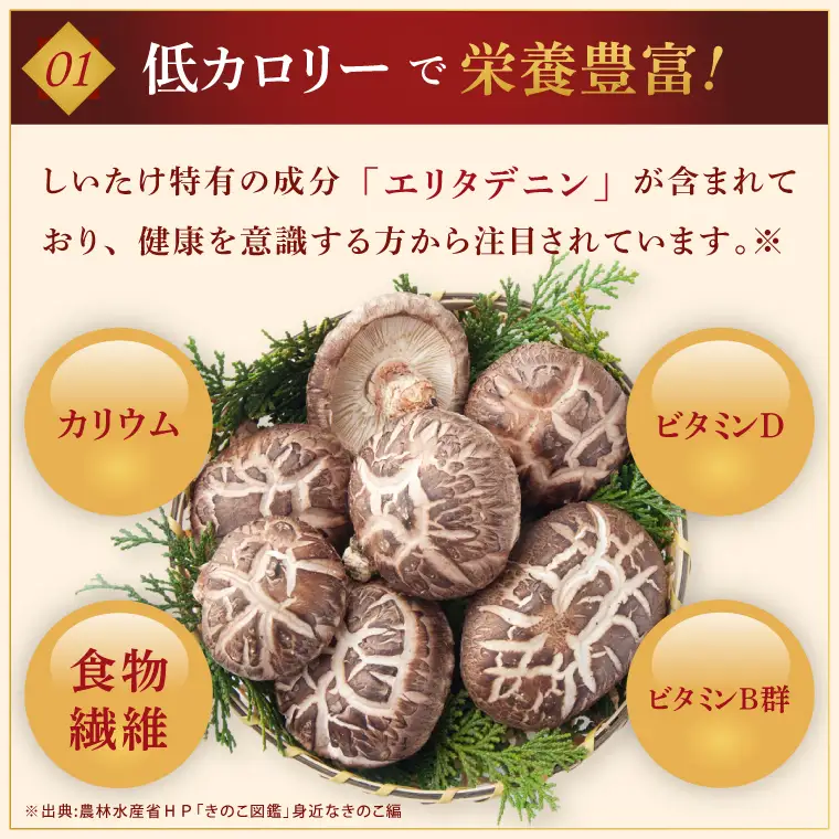 【10月下旬～3月下旬発送】茨城県水戸産 ジャンボ原木しいたけ 4個×2袋【生しいたけ 椎茸 シイタケ きのこ キノコ にく丸 希少 栄養豊富 水戸市 茨城県】（OD-1）