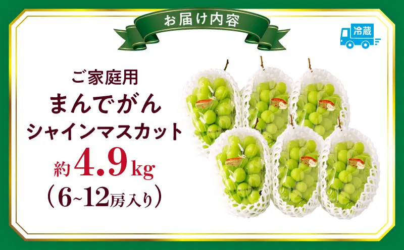 【8月31日（夏休み）までの期間限定価格!!】ご家庭用　シャインマスカット　まんでがん　約4.9kg | シャインマスカット マスカット ぶどう ブドウ 葡萄 果物 フルーツ 期間限定 新鮮 くだもの 国産 ギフト お裾分け 旬 人気 種なし 皮ごと食べられる ジューシー 糖度が高い 先行受付 先行予約 季節限定 おすすめ 旬の果物 香川 香川県 三木町 訳あり ご家庭用 |_mk006-130