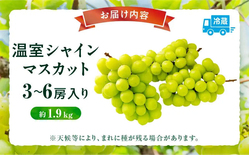 【8月31日（夏休み）までの期間限定価格!!】温室シャインマスカット　約1.9kg | シャインマスカット マスカット ぶどう ブドウ 葡萄 果物 フルーツ 期間限定 新鮮 くだもの 国産 ギフト お裾分け 旬 人気 種なし 皮ごと食べられる ジューシー 糖度が高い 先行受付 先行予約 季節限定 おすすめ 旬の果物 香川 香川県 三木町 |_mk006-131