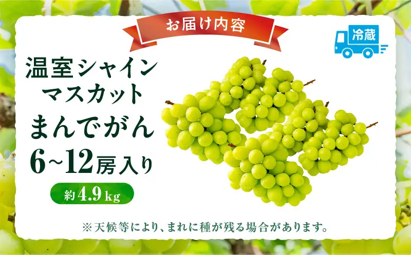 【8月31日（夏休み）までの期間限定価格!!】温室シャインマスカット　まんでがん　約4.9kg| シャインマスカット マスカット ぶどう ブドウ 葡萄 果物 フルーツ 期間限定 新鮮 くだもの 国産 ギフト お裾分け 旬 人気 種なし 皮ごと食べられる ジューシー 糖度が高い 先行受付 先行予約 季節限定 おすすめ 旬の果物 香川 香川県 三木町 |_mk006-132