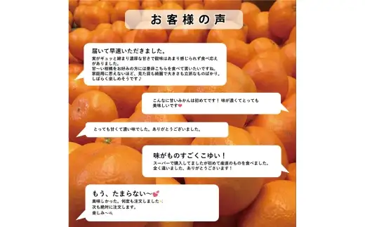 【 果汁あふれる至福の一玉 】 まどんな （ 紅まどんなと同品種 ） 約2kg みかん ミカン 柑橘 柑橘系 柑橘類 くだもの 果物 フルーツ 果実 果汁 果肉 国産 愛媛県産 薄皮 【 2026年11月下旬-2027年1月下旬発送予定 】 ( 1110 )