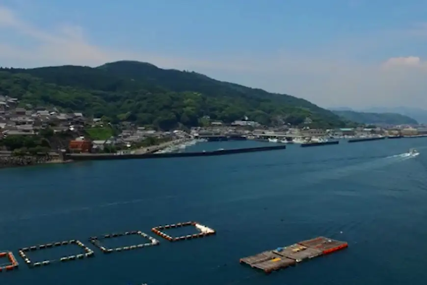 【期間限定発送】牡蠣 岩牡蠣 殻付き 細島 岩ガキ 約 2kg
