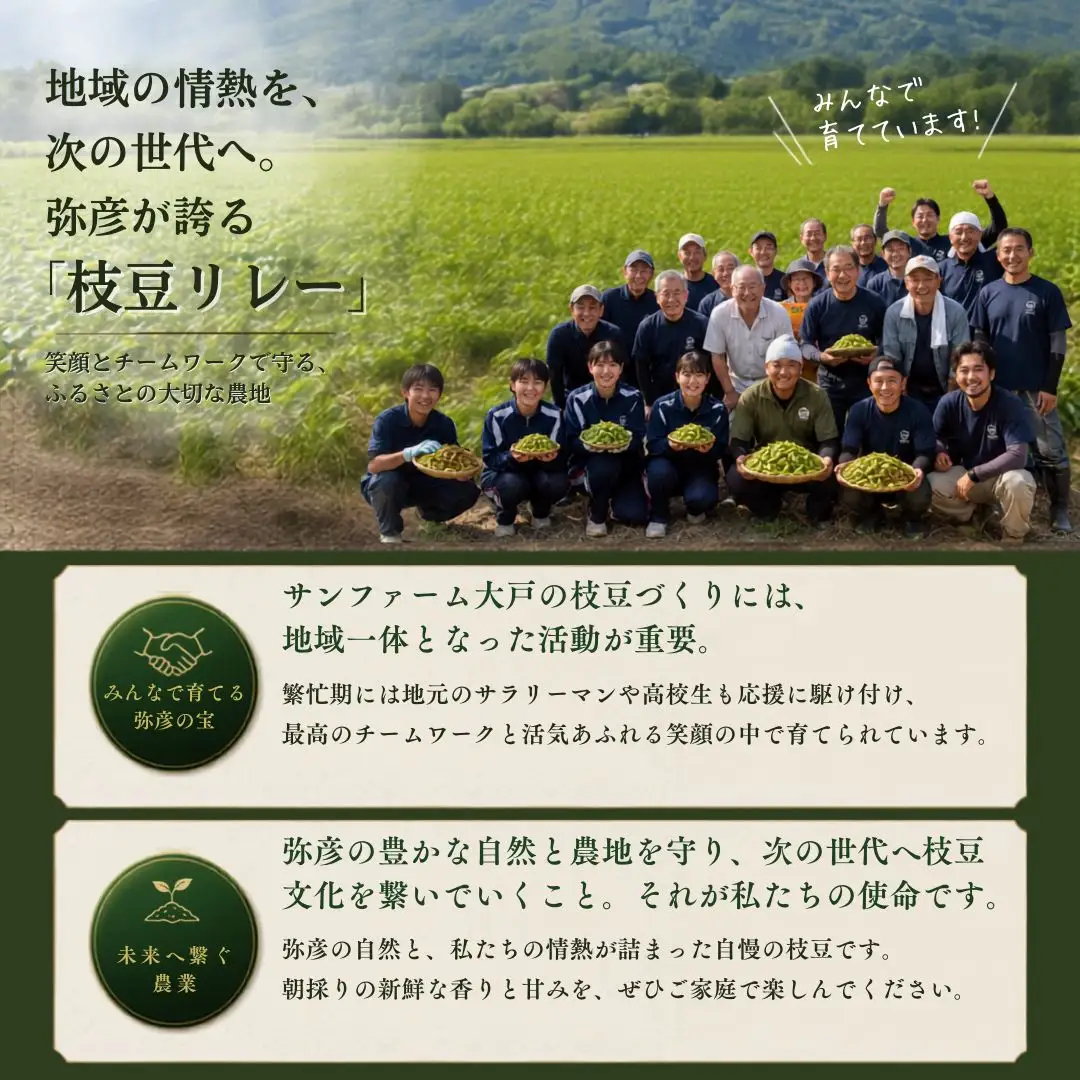 【先行予約】 枝豆 茶豆 1kg | 朝どり新鮮 新潟県 弥彦村