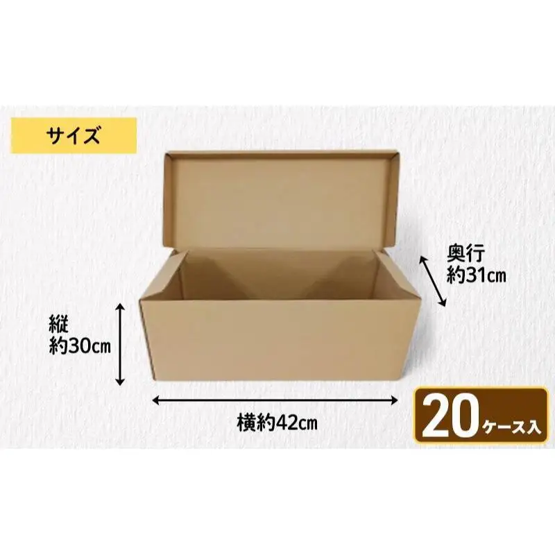 文書保存箱20ケース 収納 整理 文書 書類 A4 箱 ダンボール フタ付き 保管 大容量 頑丈 耐久性 組み立て簡単 道具不要 静岡県 森町