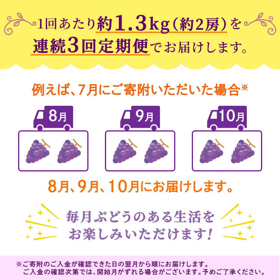 【定期便】3か月連続でお届け！ナガノパープル 約1.3kg （約2房）【2026年8月より発送開始】（茨城県共通返礼品 [ぶどう]：結城市産） 