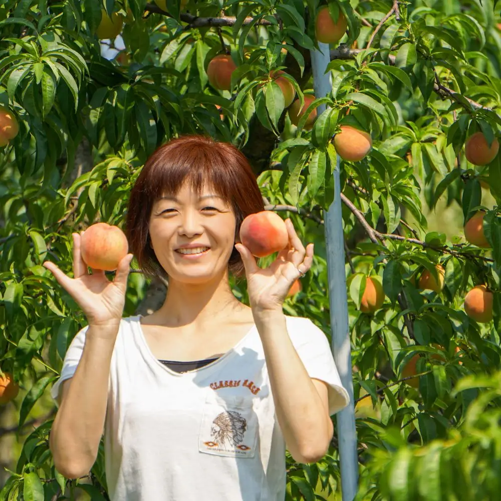 山形県産 白桃 ご家庭用 5kg （12玉～25玉）【2026年8月上旬から9月中旬発送】 山形県 果物 フルーツ 桃 モモ もも 夏 送料無料
