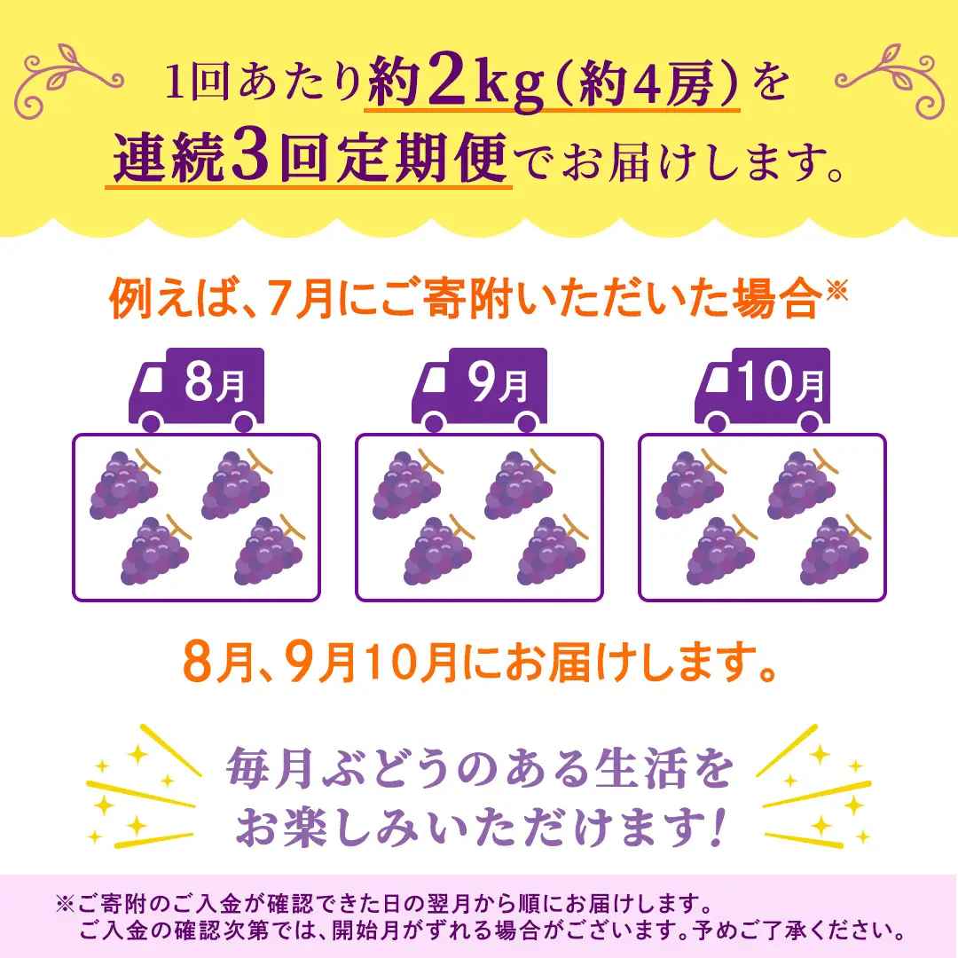 【定期便】3か月連続でお届け！ナガノパープル 約2kg （約4房）【2026年8月より発送開始】（茨城県共通返礼品 [ぶどう]：結城市産）