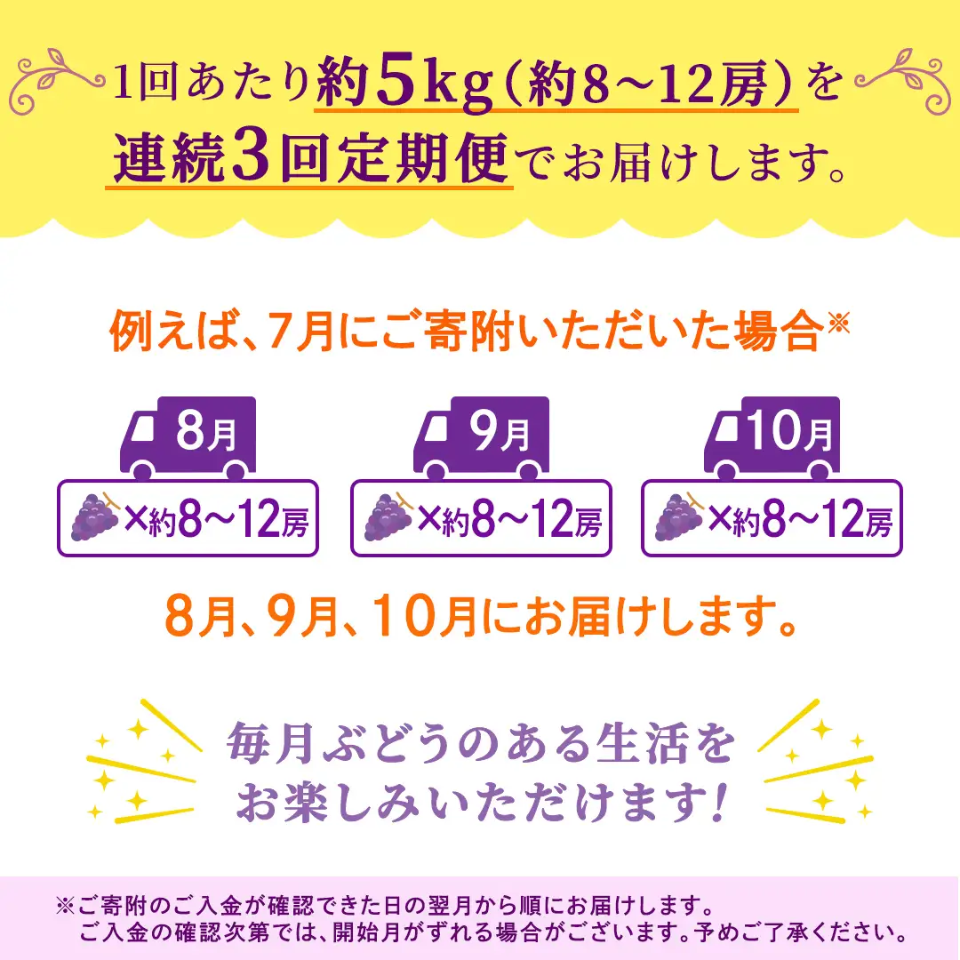 【定期便】3か月連続でお届け！ナガノパープル 約5kg （約8～12房）【2026年8月より発送開始】（茨城県共通返礼品 [ぶどう]：結城市産）