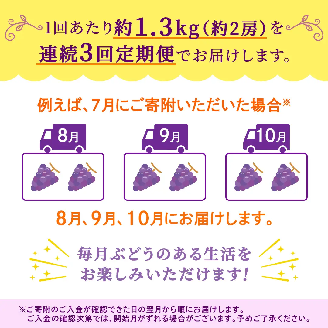 【定期便】3か月連続でお届け！ピオーネ 約1.3kg （約2房）【2026年8月より発送開始】（茨城県共通返礼品 [ぶどう]：結城市産）