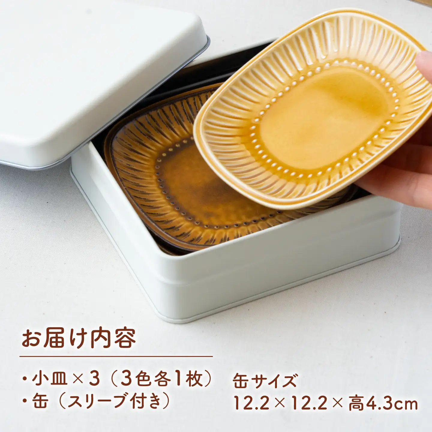 【美濃焼】 miyama. 缶に入ったビスケットのプレート3枚セット [AZCM117] 小皿 皿