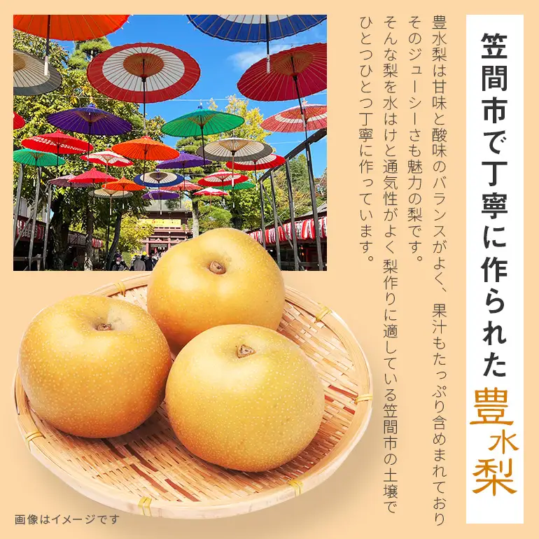 訳あり 豊水 梨 3kg 柴沼梨園 BX-024